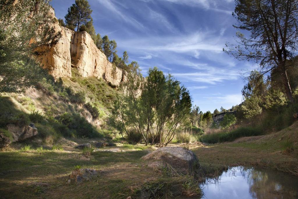 Alojamiento Turistico La Tinaja Requena Εξωτερικό φωτογραφία