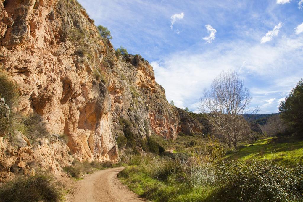 Alojamiento Turistico La Tinaja Requena Εξωτερικό φωτογραφία